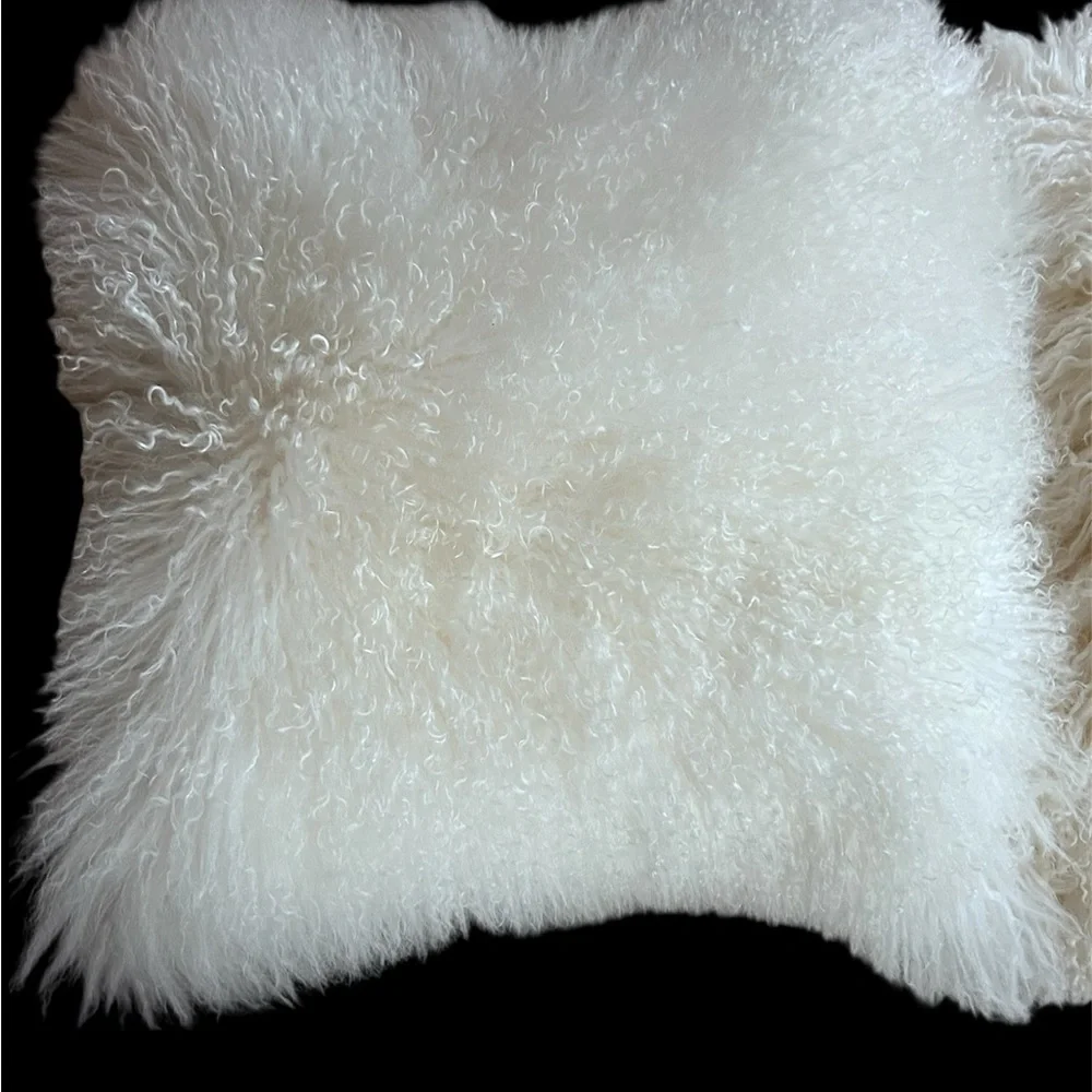 West Elm Cream Accent Pillows